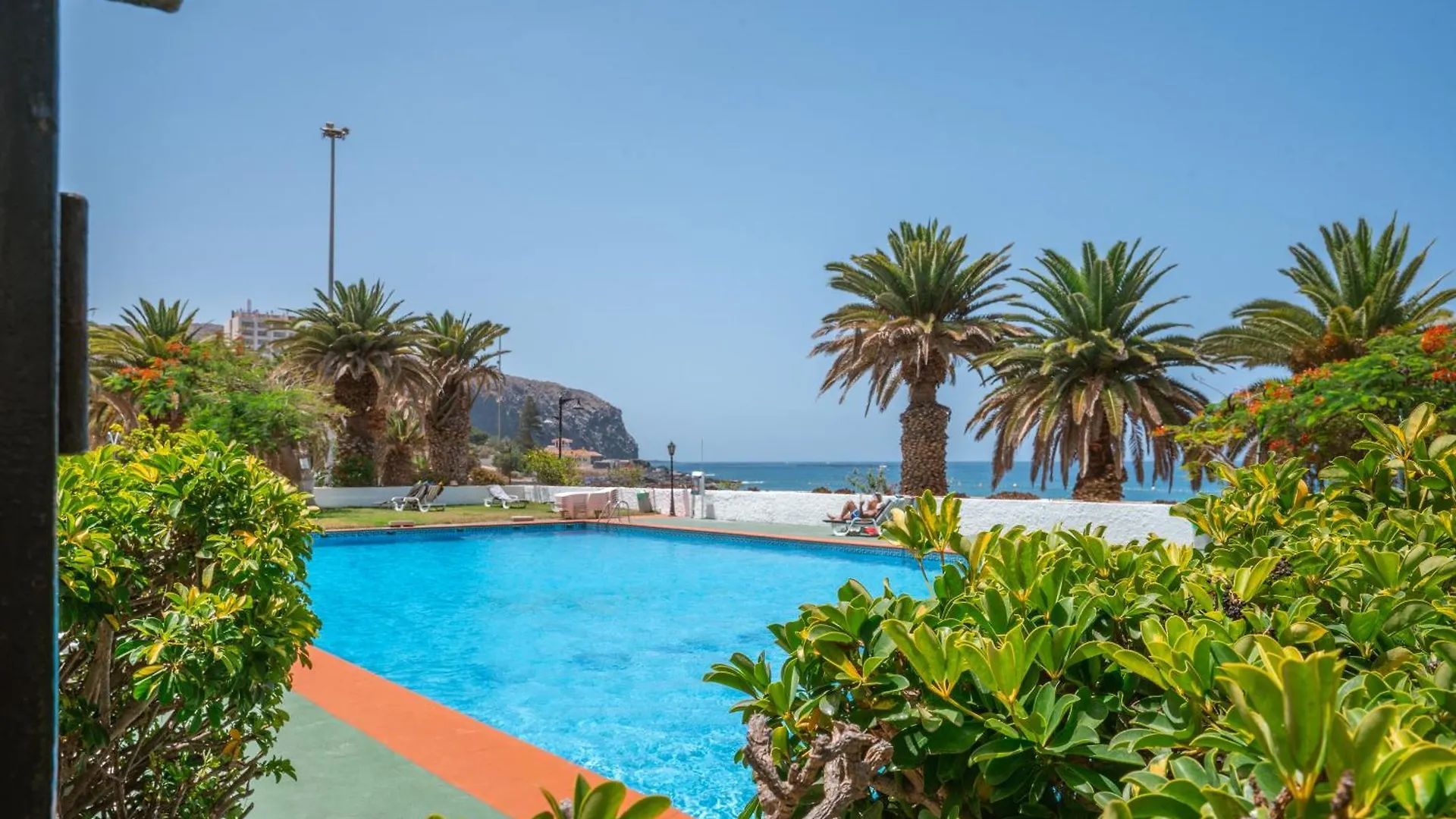 Go2Tenerife Apart'Dida Pool & First Line Of The Sea 洛斯克里斯蒂亚诺斯